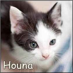 Houna