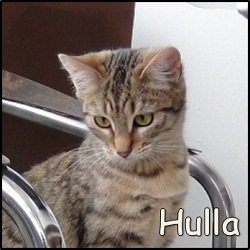 Hulla