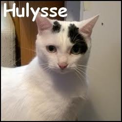 Hulysse