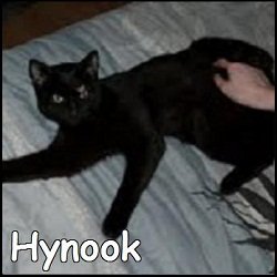 Hynook