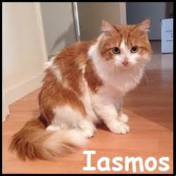 Iasmos