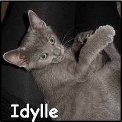 Idylle