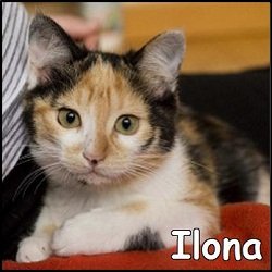 Ilona