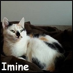 Imine