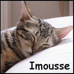 Imousse