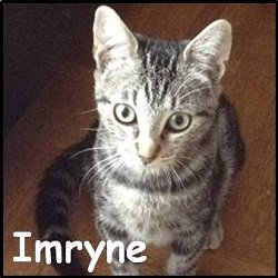 Imryne