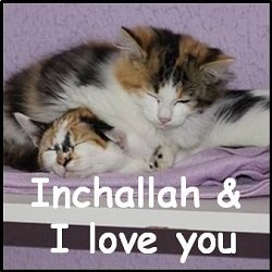 Inchallah Iloveyou