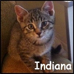 Indiana