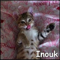 Inouk