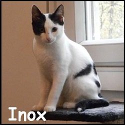 Inox