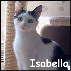 Isabella 2