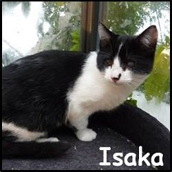 Isaka