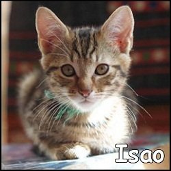 Isao