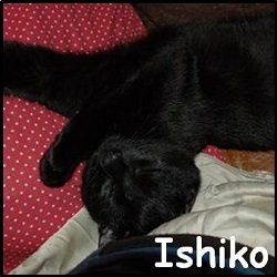 Ishiko