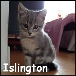 Islington