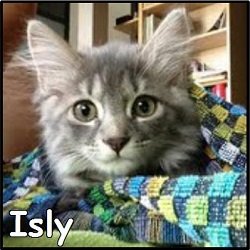 Isly