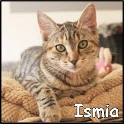 Ismia