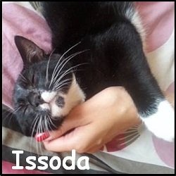 Issoda