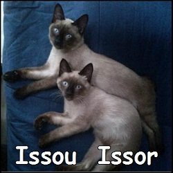 Issou et Issor