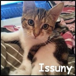 Issuny