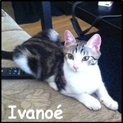 Ivanoé