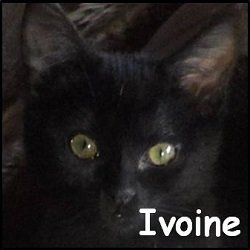 Ivoine