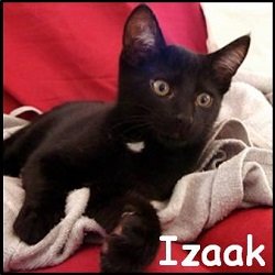 Izaak