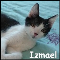 Izmael