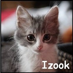 Izook