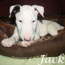 Jack - Paris