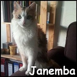 Janemba