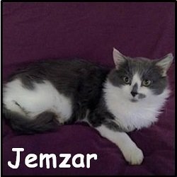 Jemzar