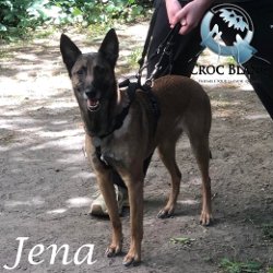 jena