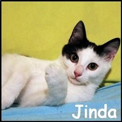 Jinda