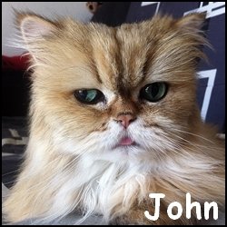 John