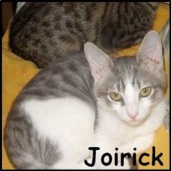 Joirick