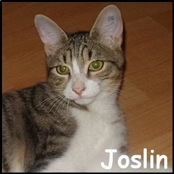Joslin