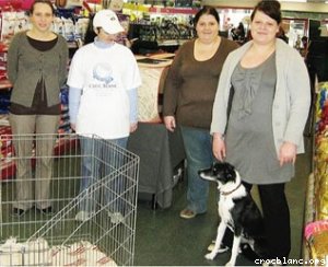 Journée de l'adoptation