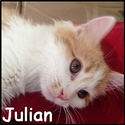 Julian