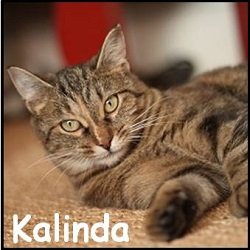 Kalinda