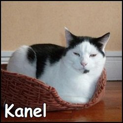 Kanel