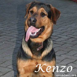 kenzo