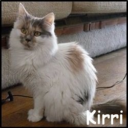 Kirri