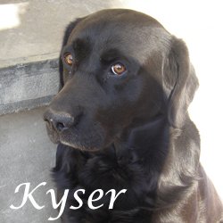 Kyser