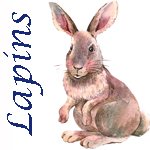 Lapins