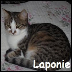 Laponie