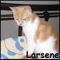 Larsene