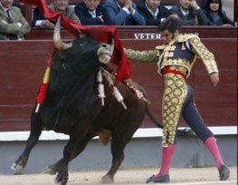 Le torero espagnol Morante de la Puebla dans les arènes de Las Ventas à madrid, le 14 mai 2009.