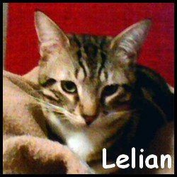 Lélian