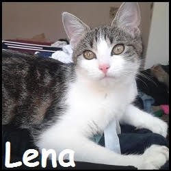 Lena